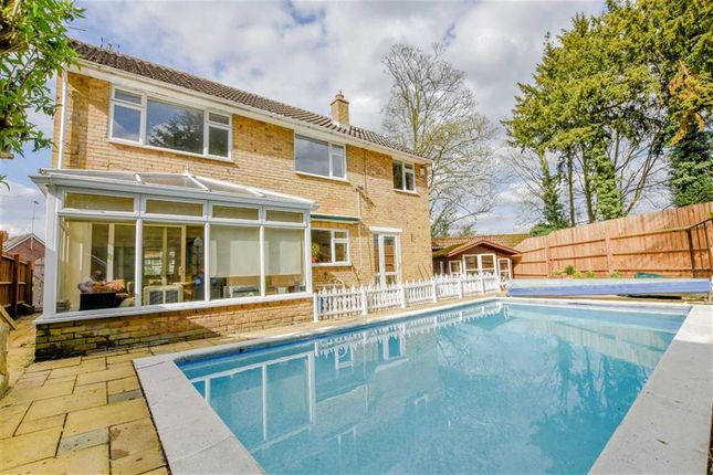 Thumbnail Detached House For Sale In Scotts Close Ware Hertfordshire Thumbnail Detached House For Sale In Scotts Close Ware Hertfordshire