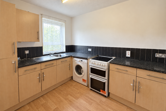 24, Northampton photo 2