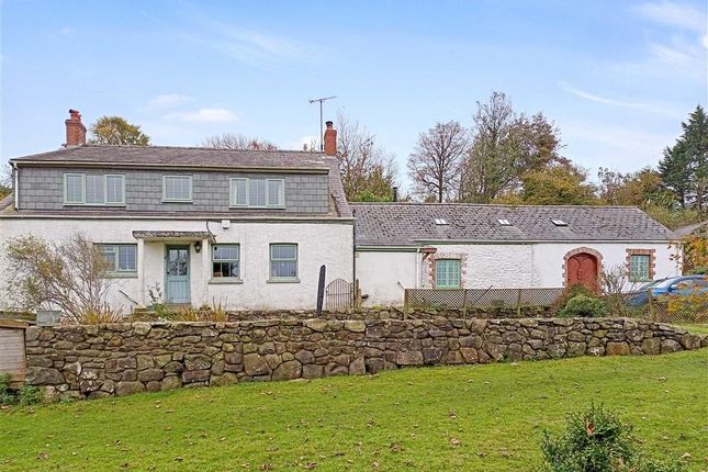 Farmhouse And Old Dairy
