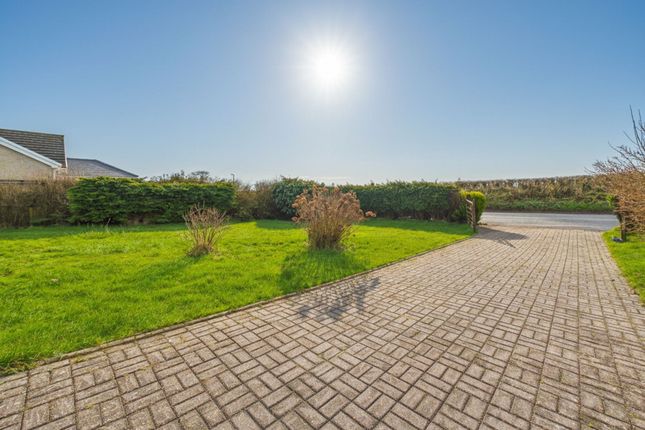 1 Lime Grove, Whitland photo 3