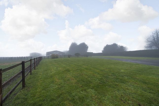 Round House Farm, Henley-on-thames photo 4