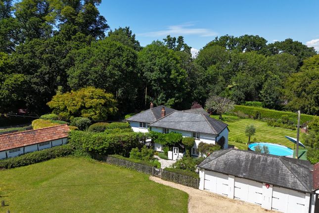 Toms Plott, Beechwood Lane, Ringwood photo 2
