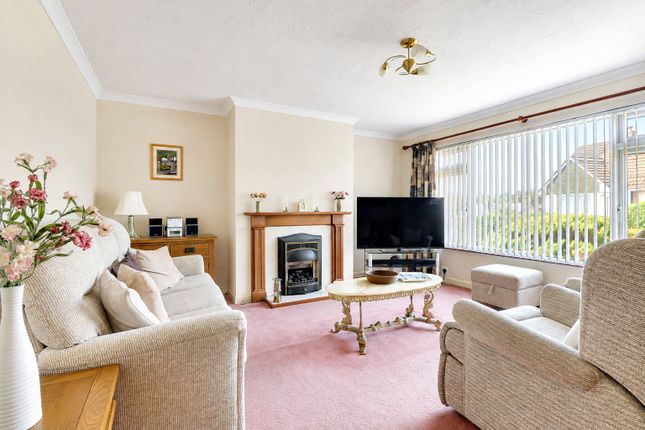 62, Mount Pleasant, Barnstaple photo 3