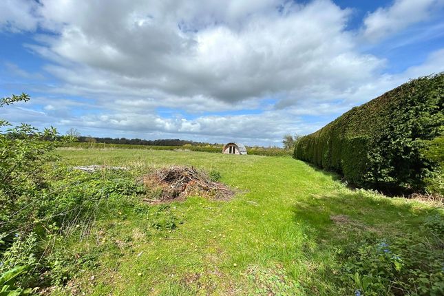 Barn and Lane, Reynolds Lane, Sandbach photo 2