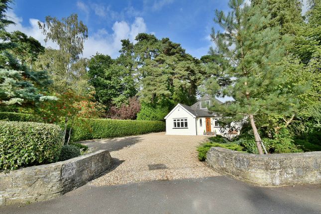 Detached bungalow for sale in Pinewood Road, Ferndown