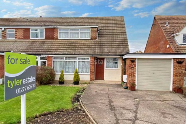Thumbnail Semi-detached house for sale in Mill Road, Billericay