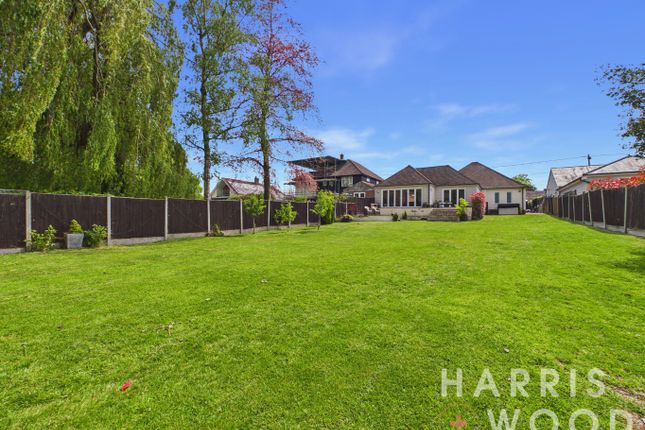 Dubett, Ivy Lodge Road, Colchester photo 4