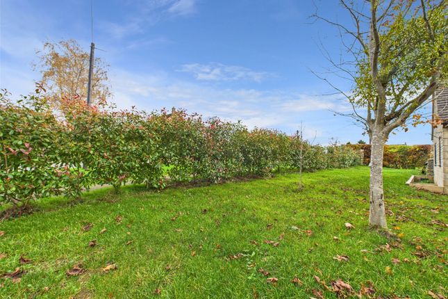 Roseallea,, The Ridge, Stroud photo 4
