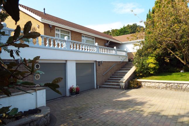 Thumbnail Detached bungalow for sale in 3 Rhyd-Yr-Helyg, Derwen Fawr, Swansea SA2 8Dh