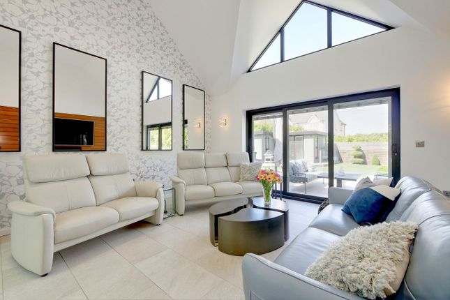 Q Elisabeths, Amberstone photo 4