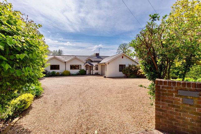 Detached bungalow for sale in Bowes Hill, Rowland's Castle