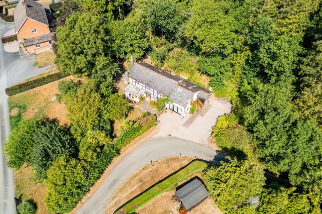 Dolobran Cottage, Meifod photo 3