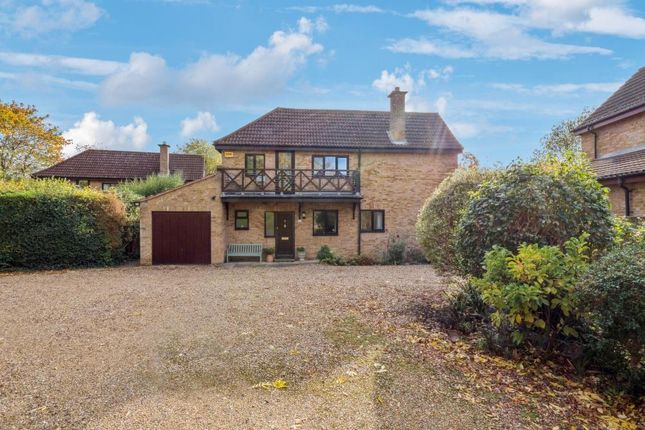 P1013243-376F4Caf60014637E292A3A486B315Ad - 800Px.