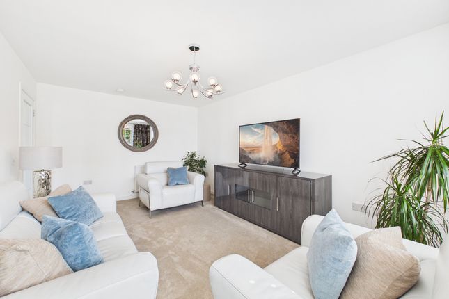 2, Armour Grove, Irvine photo 3