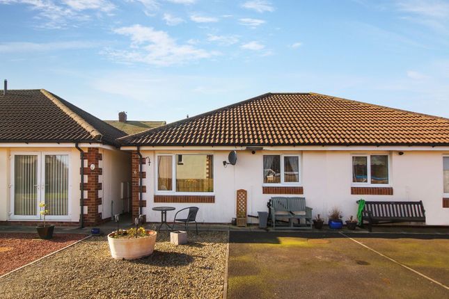 Thumbnail Semi-detached bungalow for sale in Old School Close, Red Row, Morpeth
