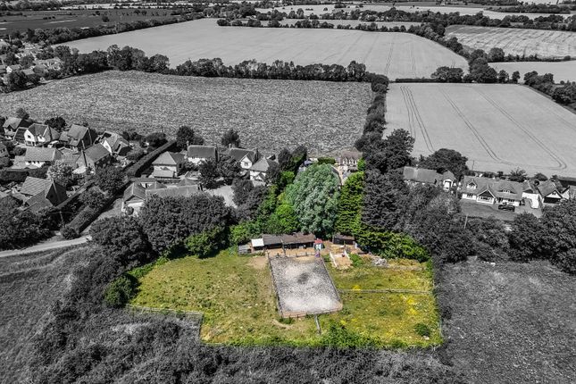 Broad Acres,, Chalks Green, Leaden Roding photo 3
