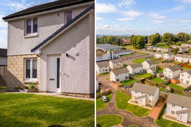 10 Macalpine Place, Dundee photo 3