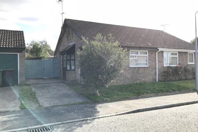 Thumbnail Semi-detached bungalow to rent in Constable Way, Halesworth