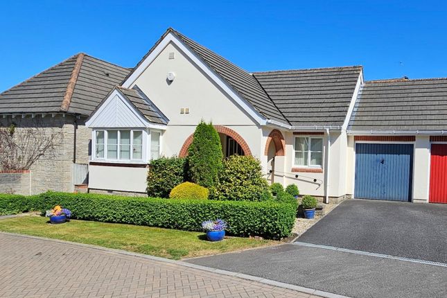 Thumbnail Detached house for sale in Herons Brook, Okehampton