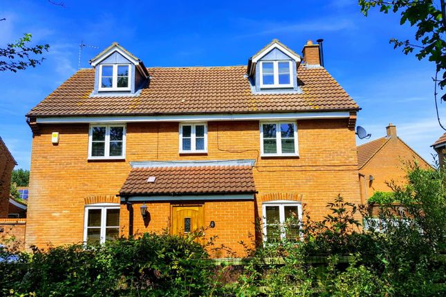 Thumbnail Detached house to rent in Hillbeck Grove, Middleton, Milton Keynes