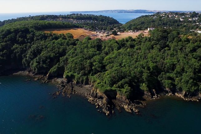 Ilsham Grange, Torquay photo 4