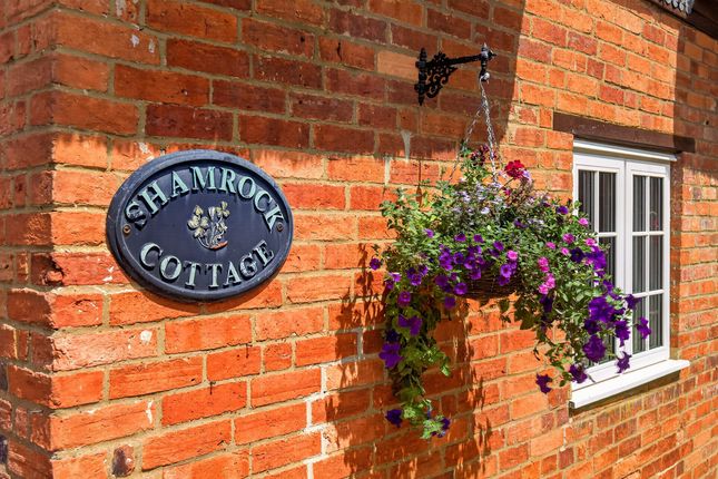 Shamrock Cottage, Main Street, Buckingham photo 4