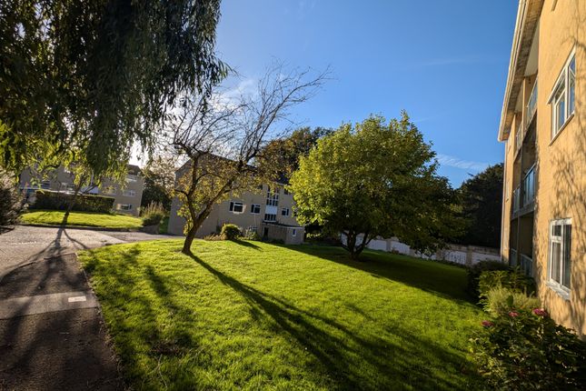 Pxl_20251006_155230160