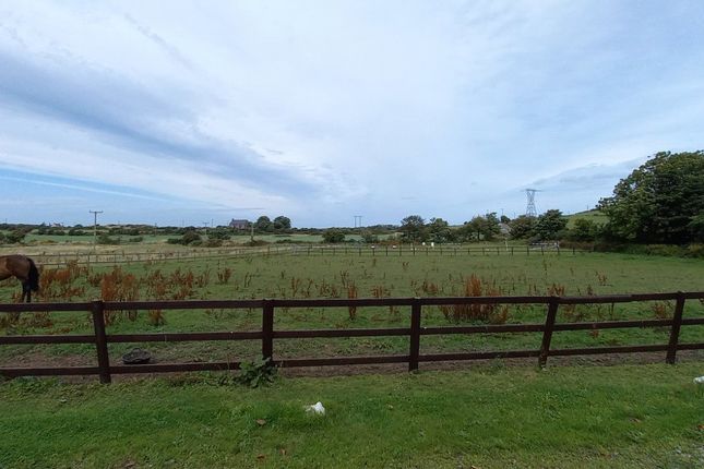 Land