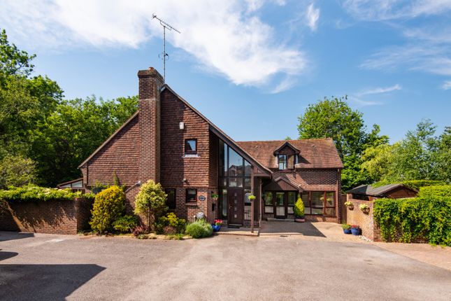 Thumbnail Detached house for sale in The Street, Bramber, Steyning, West Sussex