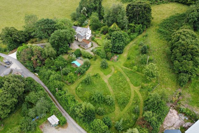 Grounds
