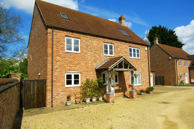 Thumbnail Detached house to rent in Long Lane, Feltwell, Thetford
