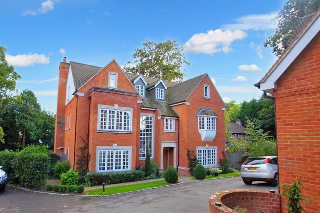 Thumbnail Detached house to rent in Wych Hill, Hook Heath, Woking