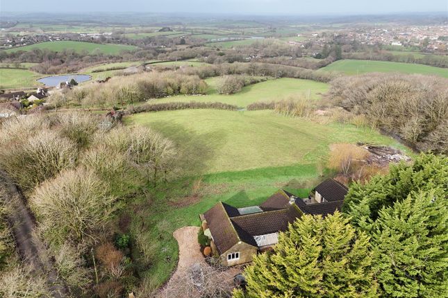 Copse Hill Farm, Sturminster Newton photo 2