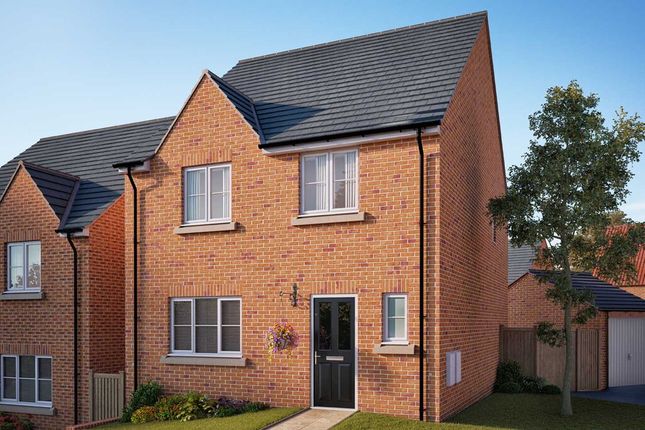 Thumbnail Property for sale in "Mylne" at Doncaster Road, Hatfield, Doncaster