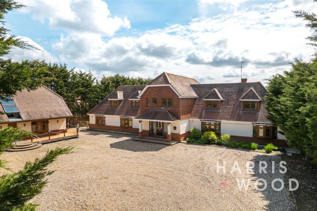 Thumbnail Detached house for sale in Steeple Road, Mayland, Chelmsford, Essex