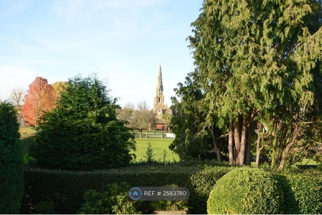 View From The Apartment Over Churchfields Park