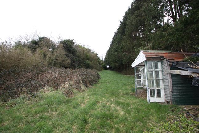 Detached bungalow for sale in Crossgar Road, Ballynahinch