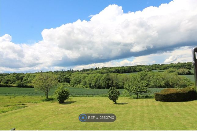 Garden And View
