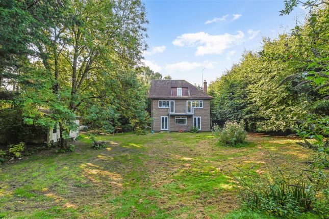 Thumbnail Detached house for sale in Horsham Road, Findon, Worthing