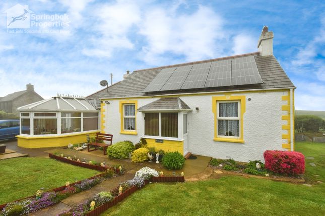 Thumbnail Bungalow for sale in Eglwyswrw, Crymych, Dyfed