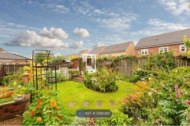 Tern Road, Dunfermline, Dunfermline photo 3