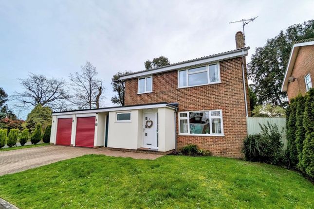 Thumbnail Detached house for sale in Squirrel Close, Bexhill On Sea