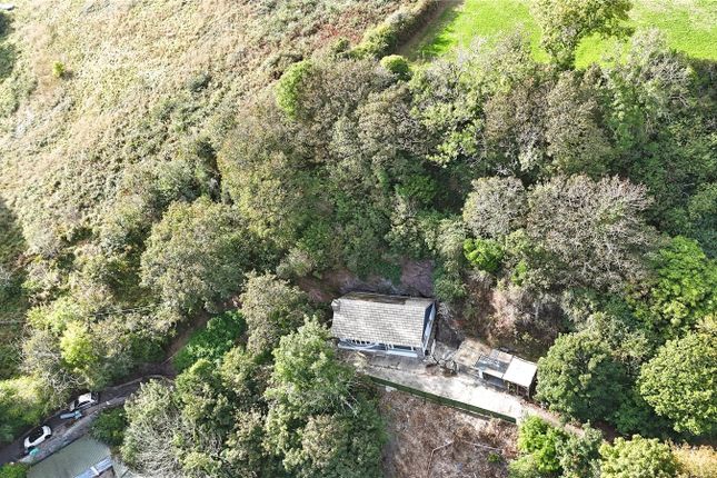 Camellia Cottage,, Higher Landaviddy, Polperro photo 4