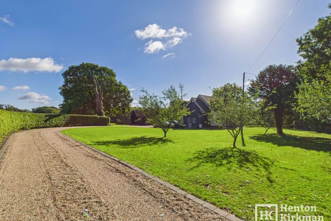 The Cottage, Whites Hill, Ingatestone photo 3