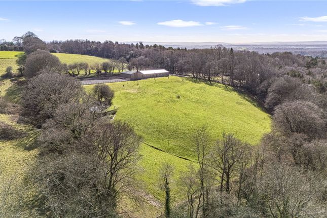 Lower Nutley Dene,, Nether Lane, Uckfield photo 4