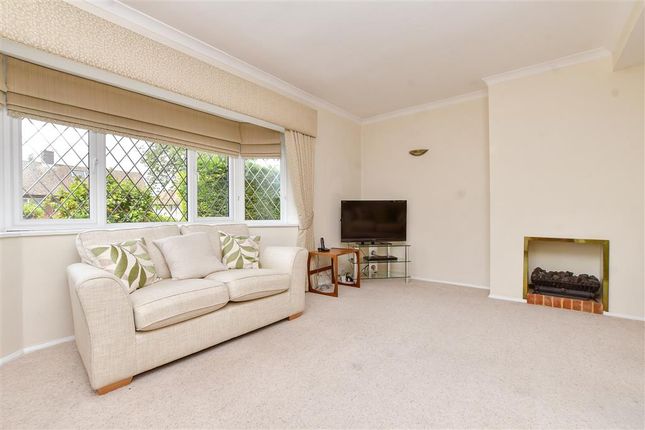 Lounge / Dining Room