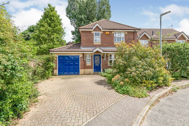 Homes for Sale in Tortoiseshell Drive, Attleborough NR17 - Buy Property