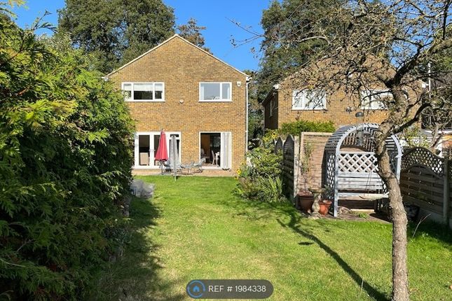 Detached house to rent in Clare Lane, West Malling ME19