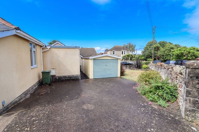 Drive, Garage And Garden
