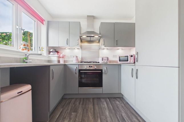 16, Lampmaker Drive, Hamilton photo 3